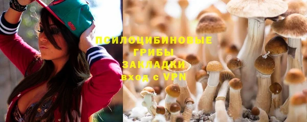спиды Алексин