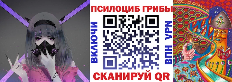 Галлюциногенные грибы Psilocybine cubensis  Льгов 